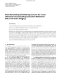 Báo cáo hóa học: From Matched Spatial Filtering towards the Fused Statistical Descriptive Regularization Method for Enhanced Radar Imaging