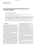 Báo cáo hóa học: A Visual Environment for Real-Time Image Processing in Hardware (VERTIPH)