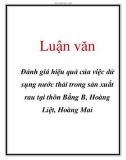 Luận văn: Đánh giá hiệu quả của việc dử sụng nước thải trong sản xuất rau tại thôn Bằng B, Hoàng Liệt, Hoàng Mai