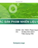 CÁC SẢN PHẨM NHIÊN LIỆU KHÍ