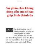 Sự phân chia không đồng đều của tế bào giúp hình thành da