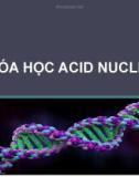 Bài giảng Hóa học acid nucleic - ThS. Huỳnh Thị Thu Hương