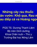 Những cây rau thuốc ở sân vườn: Khổ qua, Rau má, Rau diếp cá và Hoàng ngọc - PGS.TS. Dương Thanh Liêm