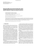 Báo cáo hóa học: Image Quality Assessment Using the Joint Spatial/Spatial-Frequency Representation