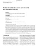 Báo cáo hóa học: Spatial-Mode Selection for the Joint Transmit and Receive MMSE Design