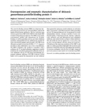 Báo cáo khóa học: Overexpression and enzymatic characterization of Neisseria gonorrhoeae penicillin-binding protein 4