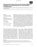 Báo cáo khoa học: Mycobacterium tuberculosis secreted antigen (MTSA-10) modulates macrophage function by redox regulation of phosphatases