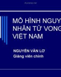 Bài giảng Mô hình nguyên nhân tử vong ở Việt Nam - Nguyễn Văn Lơ