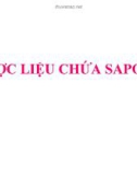 DƯỢC LIỆU CHỨA Saponin 2