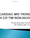 Bài giảng Cardiac MRI trong bệnh cơ tim non-ischemic - TS. BS Nguyễn Thị Mỹ Hạnh