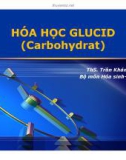 Bài giảng Hóa học Glucid (Carbohydrat) - ThS. Trần Khánh Chi