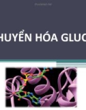 Bài giảng Chuyển hóa glucid - Võ Hồng Trung