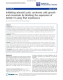 Báo cáo hóa học: Inhibiting adenoid cystic carcinoma cells growth and metastasis by blocking the expression of ADAM 10 using RNA interference