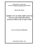 Luận văn Thạc sĩ Sinh học: Nghiên cứu sự tổng hợp cảm ứng Cellulase ở một số chủng Bacillus phân lập từ đất vườn