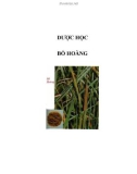 DƯỢC HỌC - BỒ HOÀNG