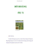 BỒ HOÀNG (Kỳ 1)