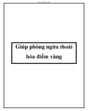 Giúp phòng ngừa thoái hóa điểm vàng