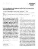 Báo cáo khoa học: In vivo morphological and antigenic characteristics of Photobacterium damselae subsp. piscicida