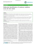 Báo cáo y học: Molecular identification of Lodoicea maldivica (coco de mer) seeds