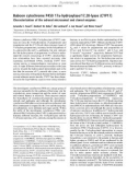 Báo cáo Y học: Baboon cytochrome P450 17a-hydroxylase/17,20-lyase (CYP17) Characterization of the adrenal microsomal and cloned enzymes