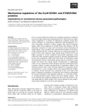 Báo cáo khoa học: Mechanical regulation of the Cyr61/CCN1 and CTGF/CCN2 proteins Implications in mechanical stress-associated pathologies