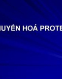 Bài giảng: CHUYỂN HOÁ PROTEIN