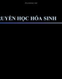 Di truyền học hoá sinh