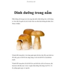 Dinh dưỡng trong nấm