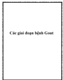 Các giai đoạn bệnh Gout