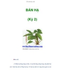 BÁN HẠ (Kỳ 2)