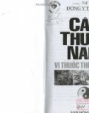 Các vị thuốc Nam thông dụng: Phần 1