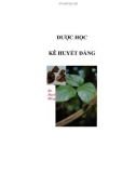 DƯỢC HỌC - KÊ HUYẾT ĐẰNG