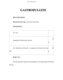 GASTROPULGITE