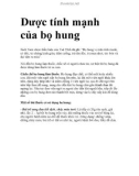 Dược tính mạnh của bọ hung