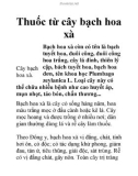 Thuốc từ cây bạch hoa xà