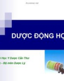 CƠ CHẾ TÁC DỤNG CỦA THUỐC