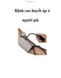 Bệnh cao huyết áp ở người già