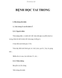 BỆNH HỌC TAI TRONG