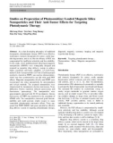 Báo cáo hóa học: Studies on Preparation of Photosensitizer Loaded Magnetic Silica Nanoparticles and Their Anti-Tumor Effects for Targeting Photodynamic Therap