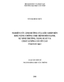 Luận án tiến sĩ Khoa học cây trồng: Nghiên cứu ảnh hưởng của gốc ghép đến khả năng chống chịu bệnh héo xanh, sự sinh trưởng, năng suất và chất lượng cây ớt cay (Capsicum spp.)