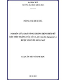 Luận án Tiến sĩ Sinh học: Nghiên cứu khả năng kháng bệnh héo rũ gốc mốc trắng của cây lạc (Arachis hypogaea L.) được chuyển gen Chi42