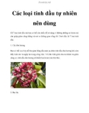 Các loại tinh dầu tự nhiên nên dùng