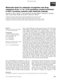 Báo cáo khoa học: Molecular basis for substrate recognition and drug ˚ resistance from 1.1 to 1.6 A resolution crystal structures of HIV-1 protease mutants with substrate analogs