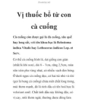 Vị thuốc bổ từ con cà cuống