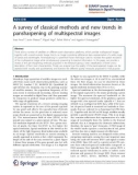 Báo cáo hóa học: A survey of classical methods and new trends in pansharpening of multispectral images