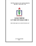 Giáo trình Lý thuyết bào chế 2