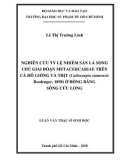 Luận văn Thạc sĩ Sinh học: Nghiên cứu tỷ lệ nhiễm sán lá song chủ giai đoạn metacercariae trên cá Hô giống và thịt (Catlocarpio siamensis Boulenger, 1898) ở đồng bằng sông Cửu Long