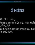 Bài giảng Ổ miệng - Thực quản - Mũi - Hầu - Thanh quản