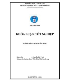 Khóa luận tốt nghiệp Tài chính ngân hàng: Một số giải pháp nâng cao hiệu quả huy động tiền gửi tại Ngân hàng nông nghiệp và phát triển nông thôn Việt Nam – Chi nhánh Thủy Nguyên, Hải Phòng