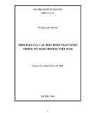 Luận văn Thạc sĩ Luật học: Thời hạn của các biện pháp ngăn chặn trong tố tụng hình sự Việt Nam